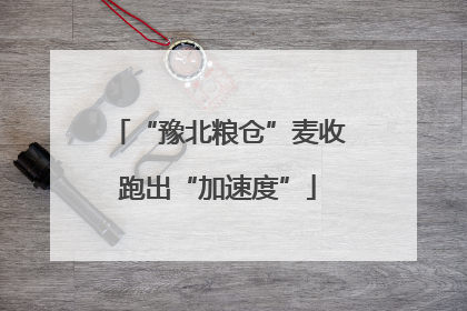 “豫北粮仓”麦收跑出“加速度”