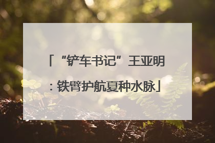 “铲车书记”王亚明：铁臂护航夏种水脉