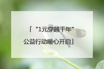 “1元穿越千年”公益行动暖心开启