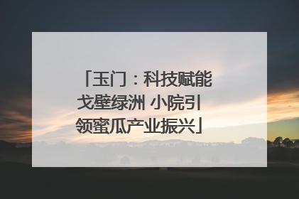 玉门：科技赋能戈壁绿洲 小院引领蜜瓜产业振兴