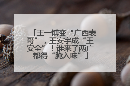王一博变“广西表哥”，王安宇成“王安全”！谁来了两广都得“腌入味”