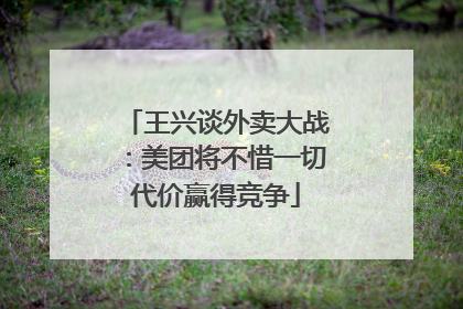 王兴谈外卖大战：美团将不惜一切代价赢得竞争