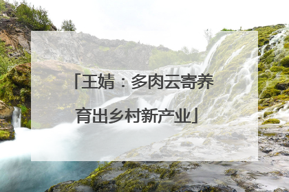 王婧：多肉云寄养 育出乡村新产业