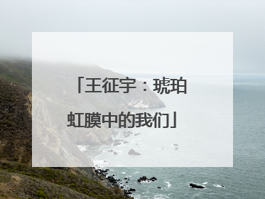 王征宇：琥珀虹膜中的我们