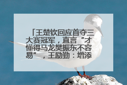 王楚钦回应首夺三大赛冠军，直言“才懂得马龙樊振东不容易”，王励勤：增添很大信心