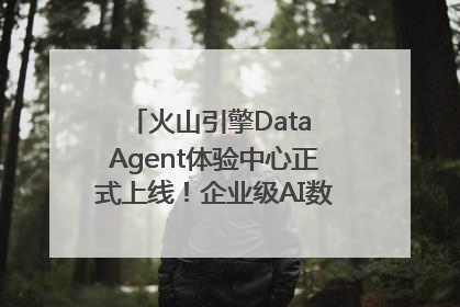 火山引擎Data Agent体验中心正式上线！企业级AI数据专家触手可及