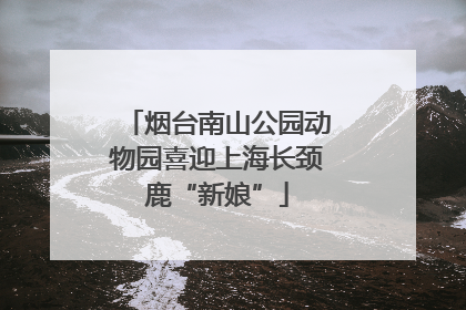 烟台南山公园动物园喜迎上海长颈鹿“新娘”