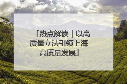热点解读｜以高质量立法引领上海高质量发展
