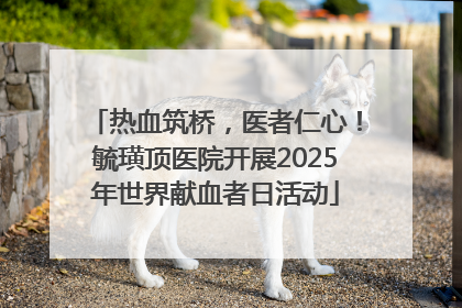 热血筑桥，医者仁心！毓璜顶医院开展2025年世界献血者日活动