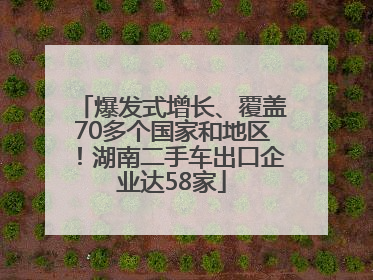 爆发式增长、覆盖70多个国家和地区！湖南二手车出口企业达58家