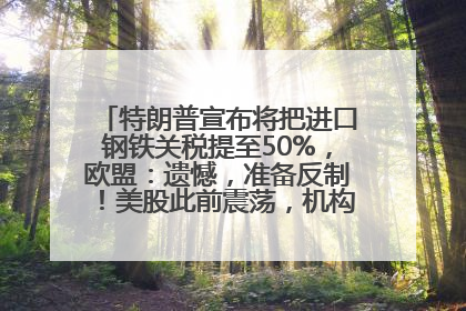 特朗普宣布将把进口钢铁关税提至50%，欧盟：遗憾，准备反制！美股此前震荡，机构：美元正进入熊市