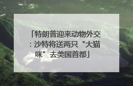 特朗普迎来动物外交：沙特将送两只“大猫咪”去美国首都