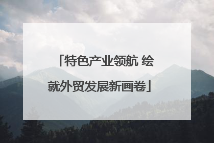 特色产业领航 绘就外贸发展新画卷