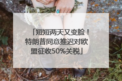 短短两天又变脸！特朗普同意推迟对欧盟征收50%关税