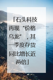 石头科技再现“价格乌龙”，其一季度存货同比增长近两倍