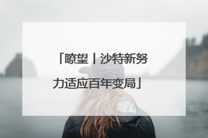 瞭望丨沙特新努力适应百年变局