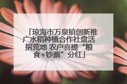 琼海市万泉镇创新推广水稻种植合作社盘活撂荒地 农户喜提“粮食+钞票”分红