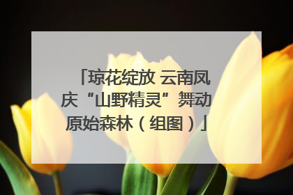琼花绽放 云南凤庆“山野精灵”舞动原始森林（组图）