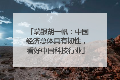 瑞银胡一帆：中国经济总体具有韧性，看好中国科技行业