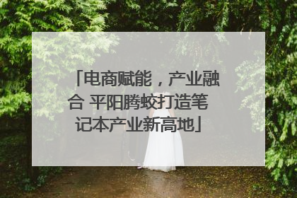 电商赋能，产业融合 平阳腾蛟打造笔记本产业新高地