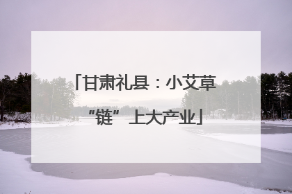 甘肃礼县：小艾草“链”上大产业
