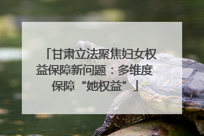 甘肃立法聚焦妇女权益保障新问题：多维度保障“她权益”