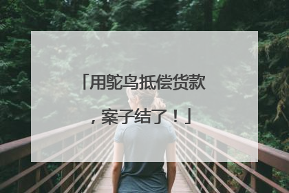 用鸵鸟抵偿货款，案子结了！