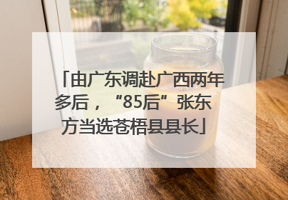 由广东调赴广西两年多后，“85后”张东方当选苍梧县县长