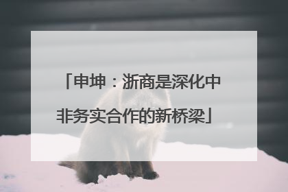 申坤：浙商是深化中非务实合作的新桥梁