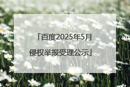 百度2025年5月侵权举报受理公示