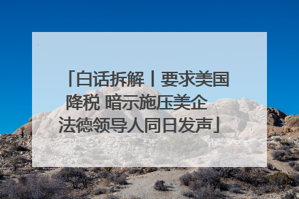 白话拆解丨要求美国降税 暗示施压美企 法德领导人同日发声