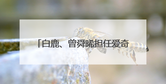 白鹿、曾舜晞担任爱奇艺VIP内容推荐官 剧粉解锁追剧新福利