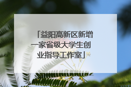 益阳高新区新增一家省级大学生创业指导工作室