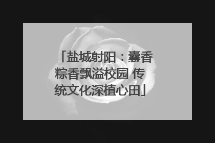 盐城射阳：囊香粽香飘溢校园 传统文化深植心田