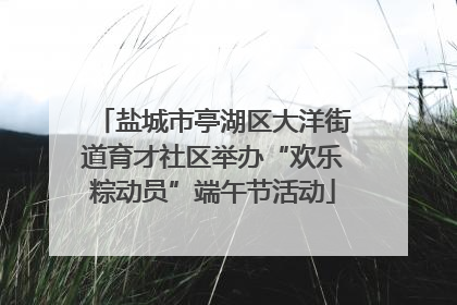 盐城市亭湖区大洋街道育才社区举办“欢乐粽动员”端午节活动