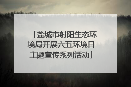 盐城市射阳生态环境局开展六五环境日主题宣传系列活动