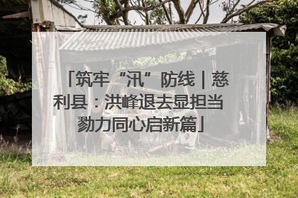 筑牢“汛”防线｜慈利县：洪峰退去显担当 勠力同心启新篇