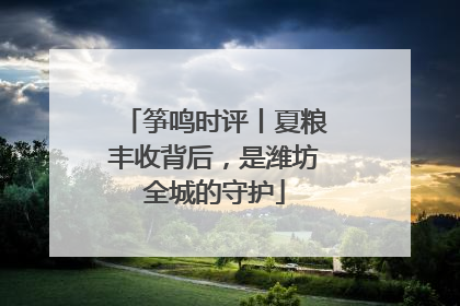 筝鸣时评丨夏粮丰收背后，是潍坊全城的守护