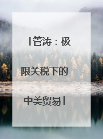 管涛：极限关税下的中美贸易