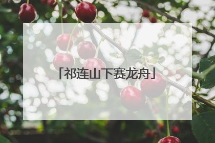 祁连山下赛龙舟