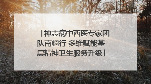 神志病中西医专家团队南疆行 多维赋能基层精神卫生服务升级