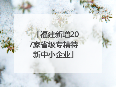 福建新增207家省级专精特新中小企业