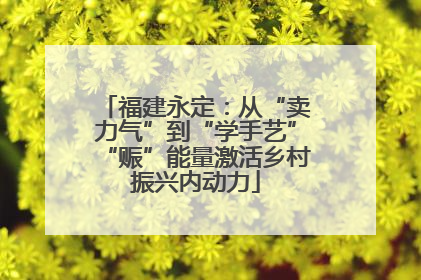 福建永定：从“卖力气”到“学手艺”“赈”能量激活乡村振兴内动力