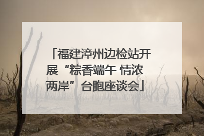 福建漳州边检站开展“粽香端午 情浓两岸”台胞座谈会