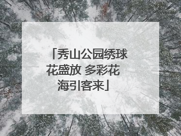 秀山公园绣球花盛放 多彩花海引客来