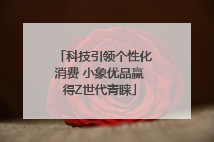 科技引领个性化消费 小象优品赢得Z世代青睐
