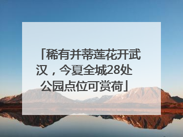 稀有并蒂莲花开武汉，今夏全城28处公园点位可赏荷