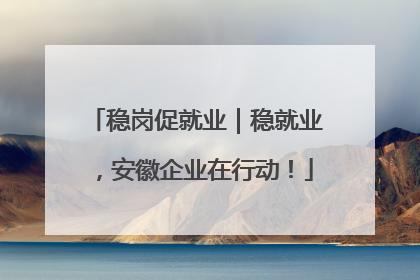 稳岗促就业｜稳就业，安徽企业在行动！