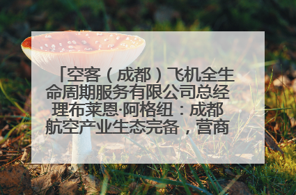 空客（成都）飞机全生命周期服务有限公司总经理布莱恩·阿格纽：成都航空产业生态完备，营商环境优势显著