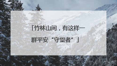 竹林山间，有这样一群平安“守望者”